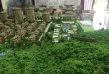 美裕蓝山墅楼盘图13