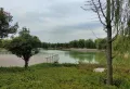 金秋华府楼盘图9