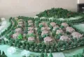 原山九号楼盘图3