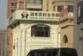 白金瀚宫天玉楼盘图10