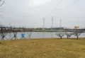 德阳保利国际城香槟国际楼盘图38