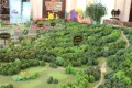 银丰唐郡玫瑰园户型图10
