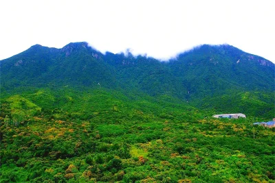 龙岐湾1号房价12