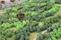 银丰唐郡玫瑰园户型图25