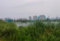 华强城鹿佩特楼盘图44
