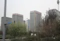 绿地柏仕晶舍楼盘图155