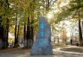 泰鲁·时代城楼盘图12