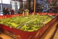 桃江碧桂园楼盘图2