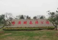 大城华府楼盘图15