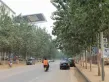 力高国际户型图75