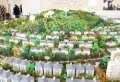 天业悦山湖楼盘图6