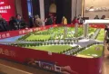 桃江碧桂园楼盘图5