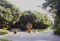 招商前海领尚公馆楼盘图13