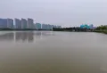 华强城鹿佩特楼盘图64