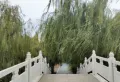 金秋华府楼盘图8