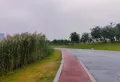 华强城鹿佩特楼盘图25