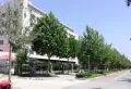保利观潮楼盘图70