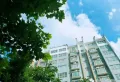 左岸凰城楼盘图11
