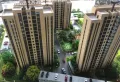 中原御府楼盘图6