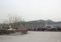 绿地柏仕晶舍楼盘图167