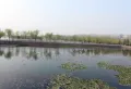 常绿·北宸上苑楼盘图69