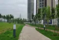 碧桂园玖玺楼盘图26