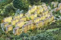 鲁能漫山香墅麓府户型图