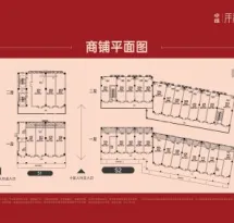 卓越洋湖晴翠商铺户型信息1