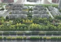 凤凰天玺楼盘图9
