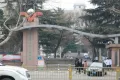 中信泰富济南尊户型图43