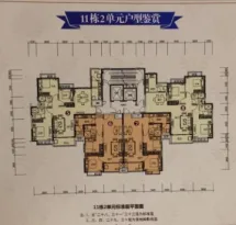 恒大绿洲户型信息11