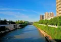 天润海棠湾楼盘图20