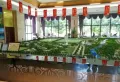 永鸿国际文化城楼盘图19