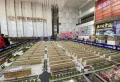 亚琦·吉水贸易中心楼盘图23