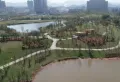 月湖·天誉楼盘图13
