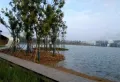 红星檀樾楼盘图11