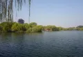仁恒奥体公园世纪楼盘图6