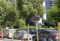 江湾豪庭楼盘图7