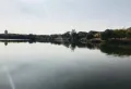 凤凰雅筑楼盘图13