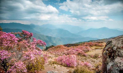 NEOGaia海花沟房价2