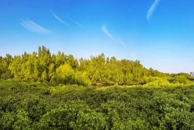 太东红树湾悦府房价24