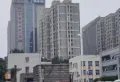 金域中央楼盘图5