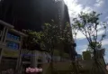 国泰熙园楼盘图13