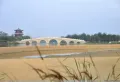 众成和悦府楼盘图41