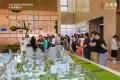 中信泰富济南尊户型图25