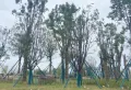 中梁首府楼盘图6