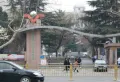 历下金茂府楼盘图45