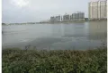 紫水公馆楼盘图22