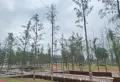 中梁首府楼盘图8