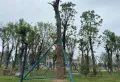 中梁首府楼盘图5